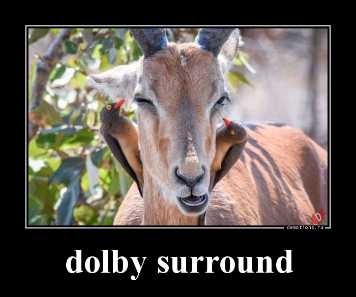 dolby surround