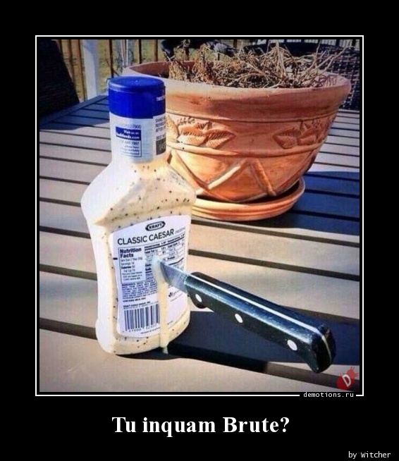Tu inquam Brute?