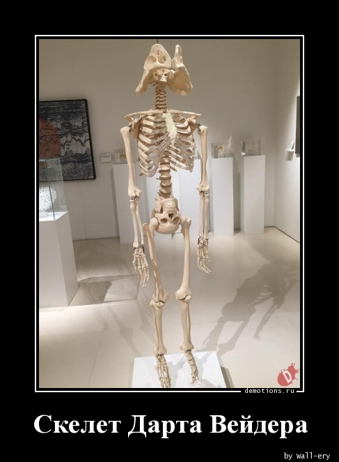 Скелет Дарта Вейдера
