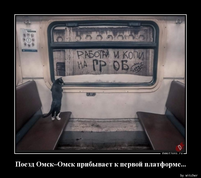 Поезд Омск–Омск прибывает к первой платформе...