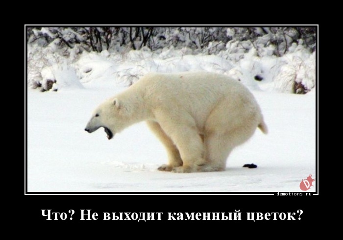 1513590573_Chto-Ne-vyhodit-kame_demotions.ru.jpg