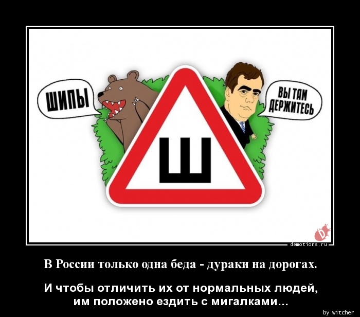 В России только одна беда - дураки на дорогах.