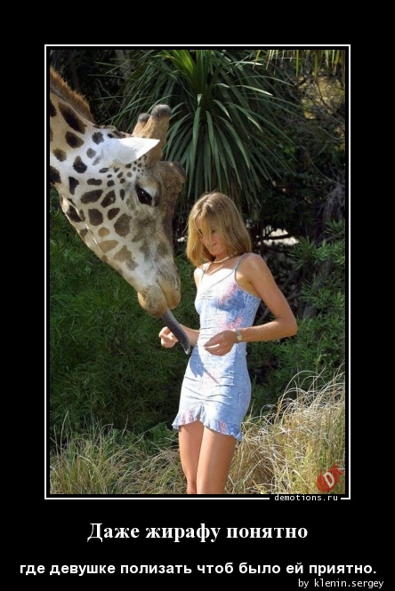 Даже жирафу понятно