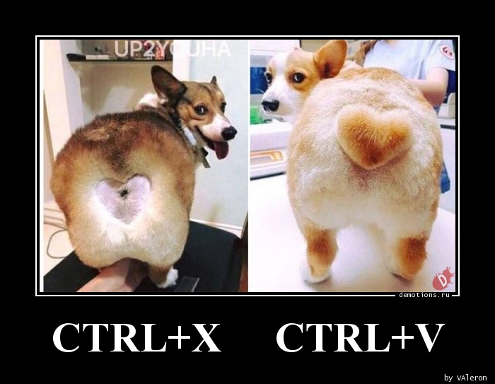 CTRL+X     CTRL+V