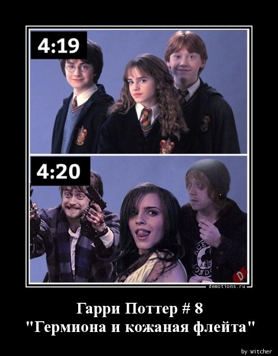 Гарри Поттер # 8n\"Гермиона и кожаная флейта\"