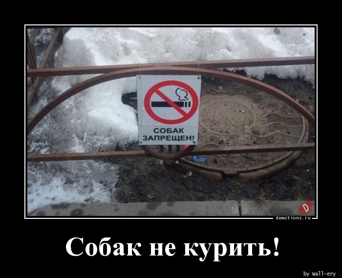 Собак не курить!
