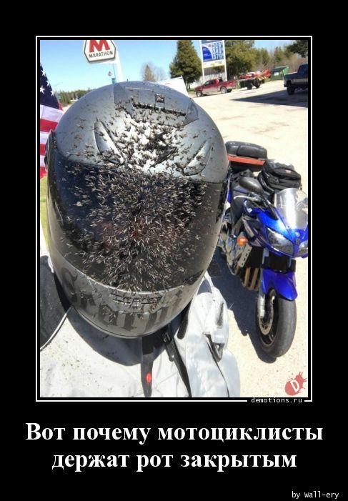 Вот почему мотоциклисты
держат рот закрытым