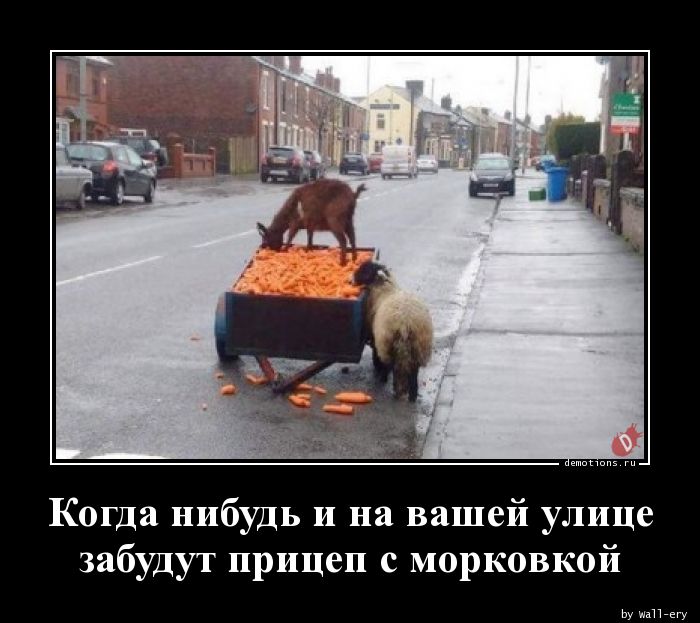 Когда нибудь и на вашей улицеnзабудут прицеп с морковкой
