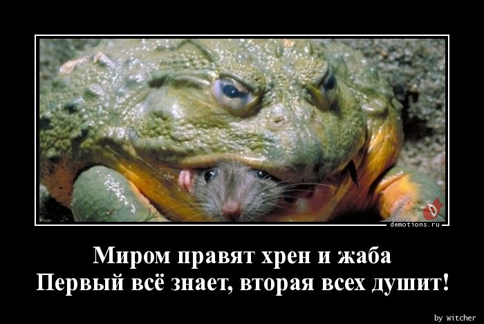 Миром правят хрен и жаба
Первый всё знает, вторая всех душит!