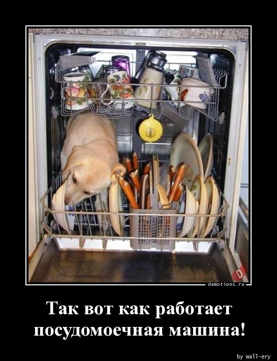 Так вот как работает
посудомоечная машина!