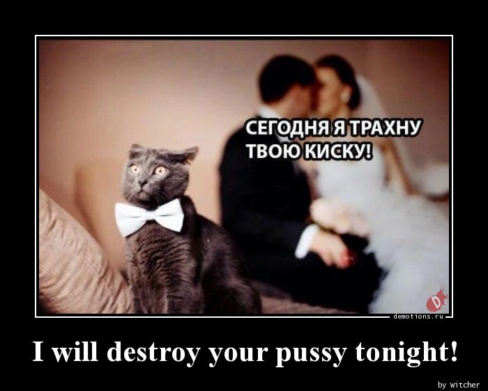 I will destroy your pussy tonight!