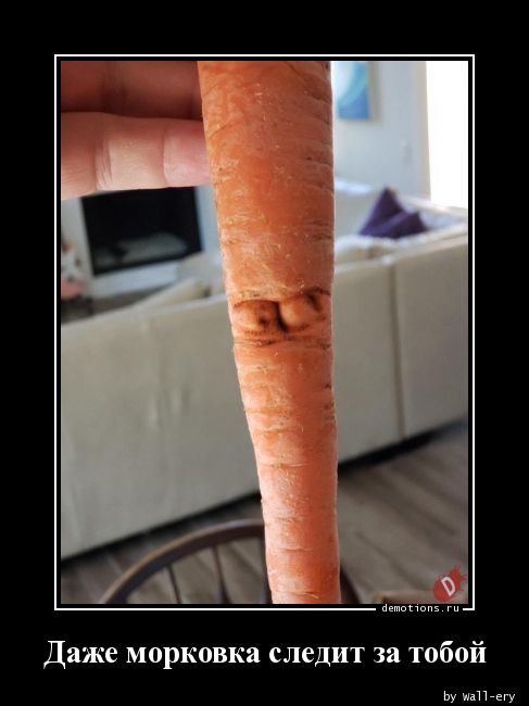 Даже морковка следит за тобой