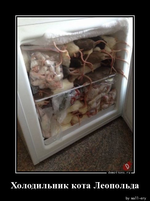 Холодильник кота Леопольда