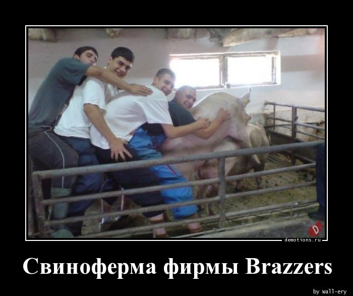 Свиноферма фирмы Brazzers