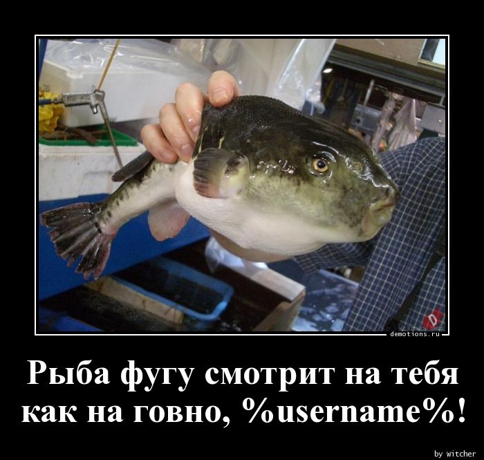 Рыба фугу смотрит на тебя nкак на говно, %username%!