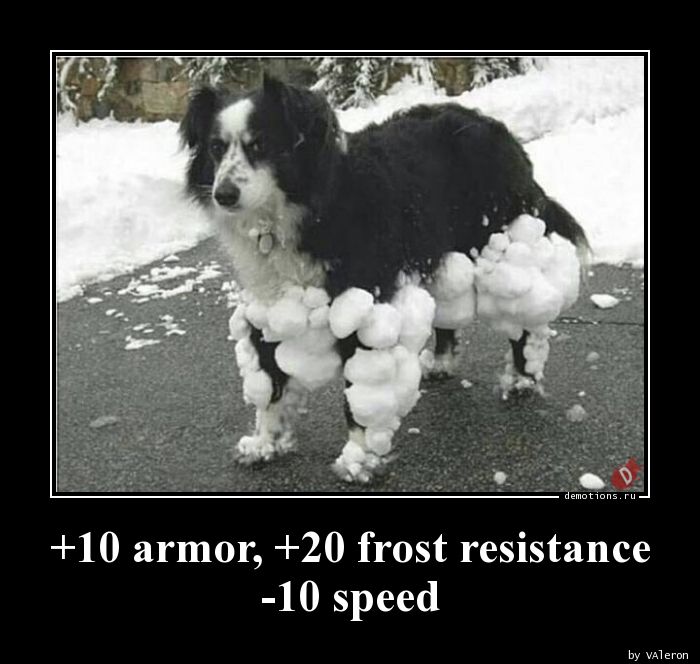 +10 armor, +20 frost resistance
-10 speed