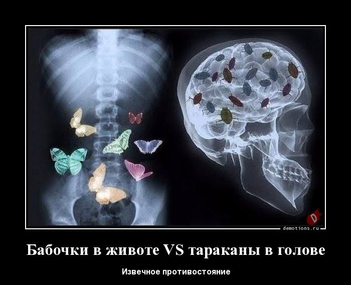 Бабочки в животе VS тараканы в голове