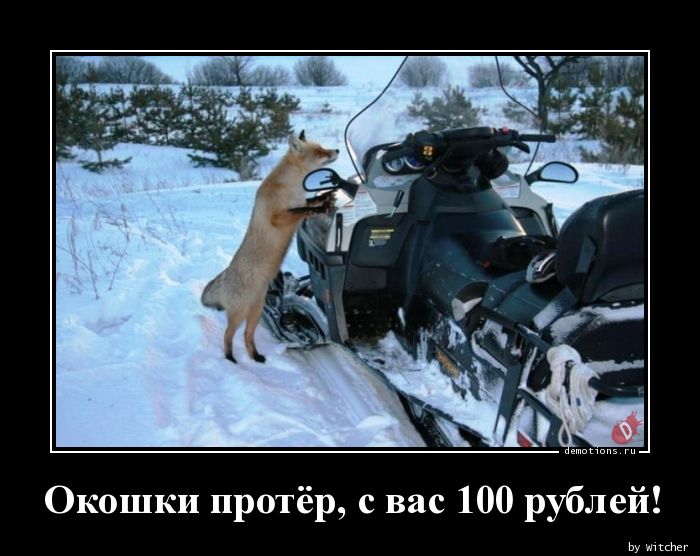 Окошки протёр, с вас 100 рублей!