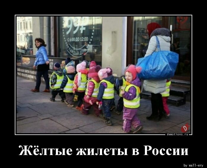 Жёлтые жилеты в России