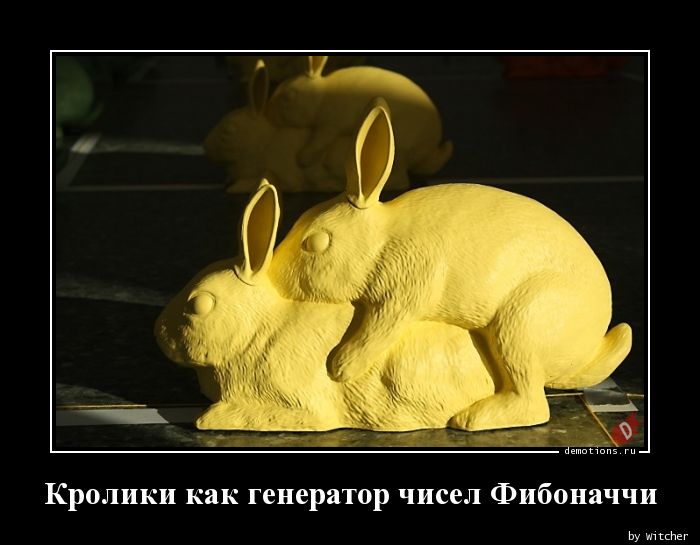 Кролики как генератор чисел Фибоначчи &raquo; Demotions.ru - ДЕМОТИВАТОРЫ.