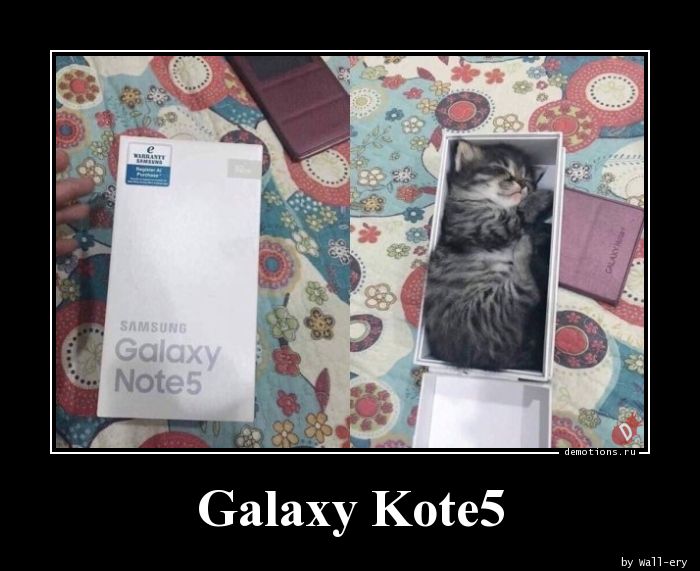 Galaxy Kote5