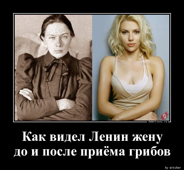 Как видел Ленин жену
 до и после приёма грибов