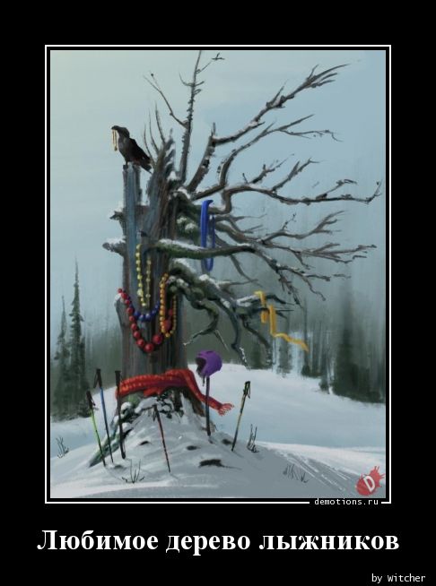 Любимое дерево лыжников