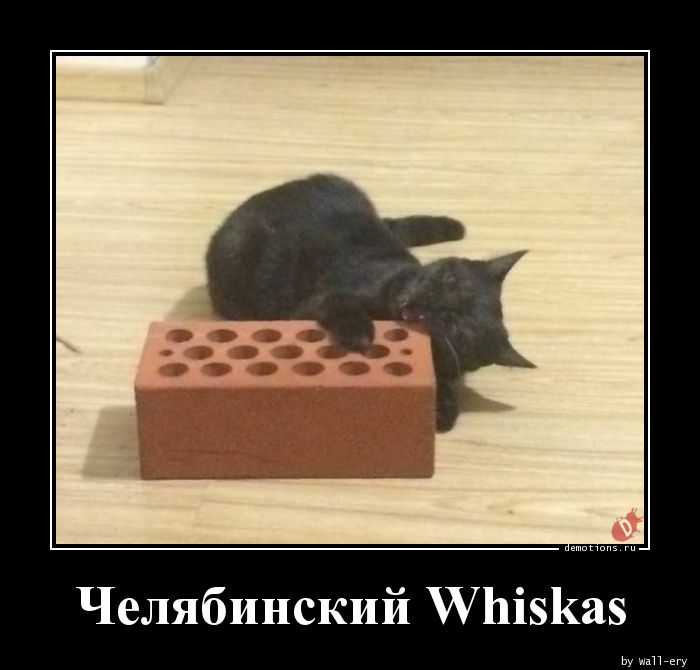 Челябинский Whiskas
