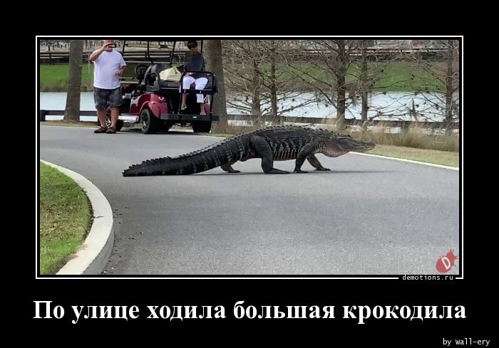 По улице ходила большая крокодила