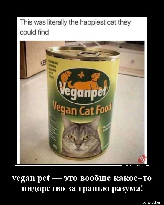 vegan pet — это вообще какое–то
 пидорство за гранью разума!