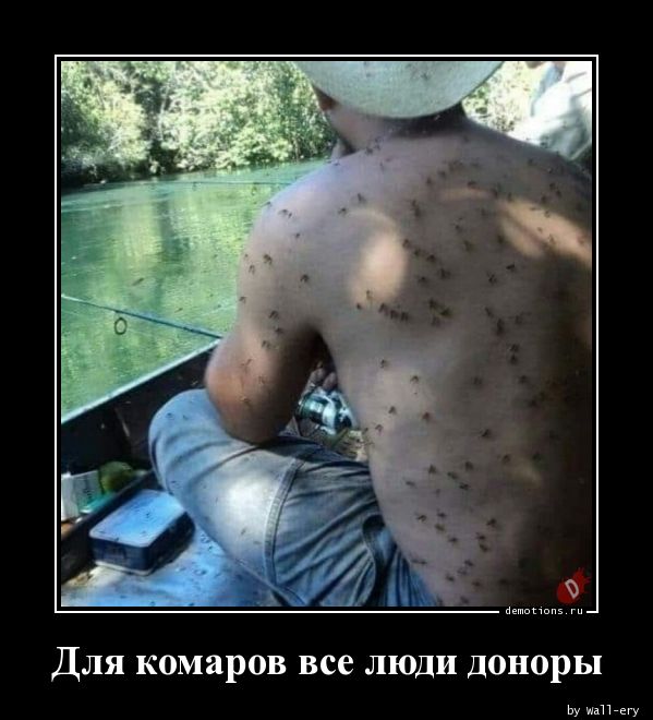 Для комаров все люди доноры