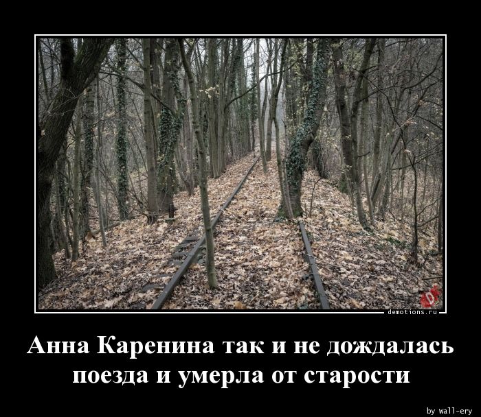 Анна Каренина так и не дождалась
поезда и умерла от старости