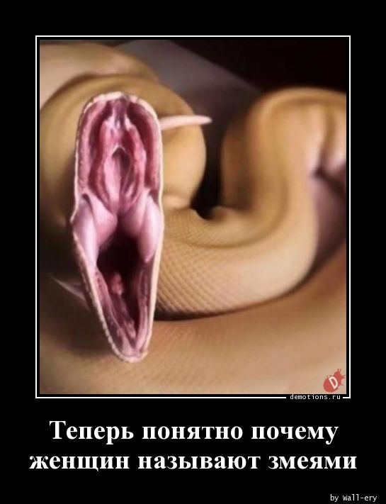 Теперь понятно почему
женщин называют змеями