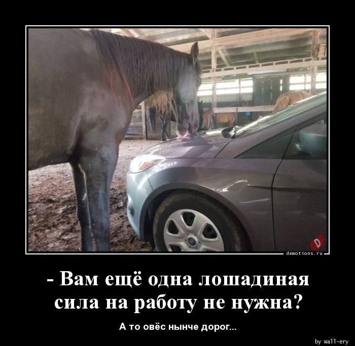 - Вам ещё одна лошадиная
сила на работу не нужна?