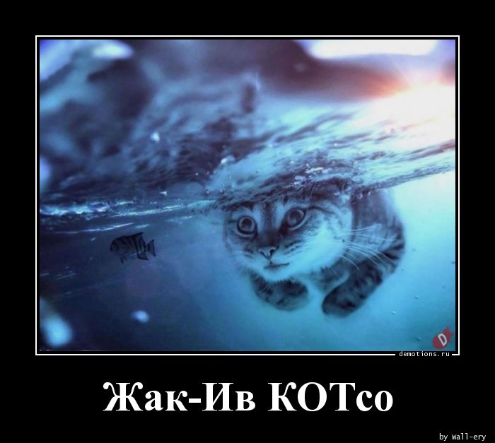 https://demotions.ru/uploads/posts/2019-09/1567443654_Zhak-Iv-KOTso_demotions.ru.jpg