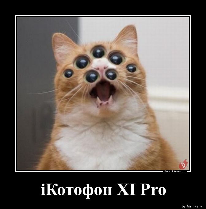 iКотофон XI Pro