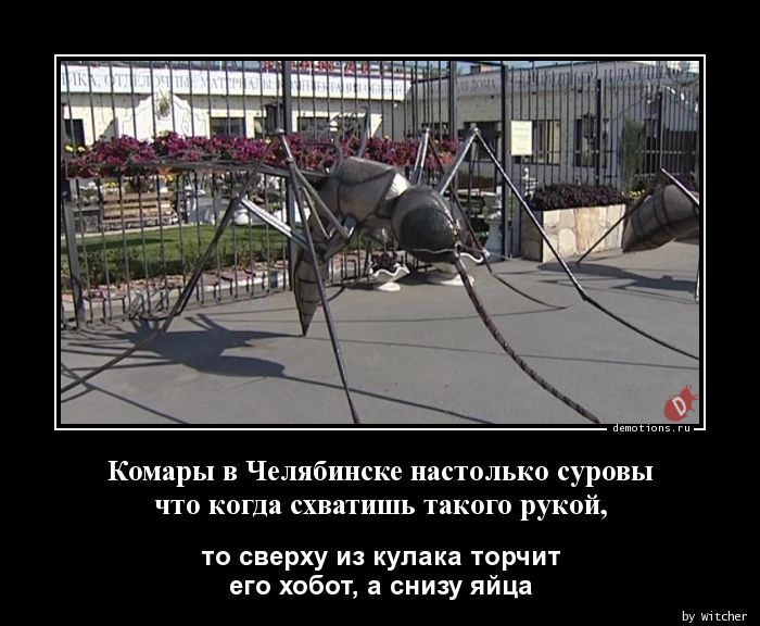 Комары в Челябинске настолько суровы
что когда схватишь такого рукой,
