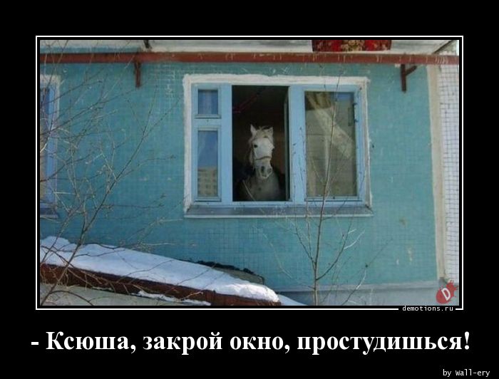 - Ксюша, закрой окно, простудишься!