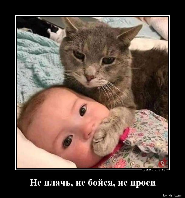 https://demotions.ru/uploads/posts/2019-11/1573709022_Ne-plach-ne-boysya-n_demotions.ru.jpg
