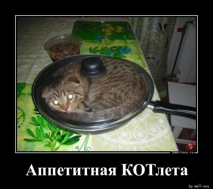 https://demotions.ru/uploads/posts/2019-11/1573723638_Appetitnaya-KOTleta_demotions.ru.jpg