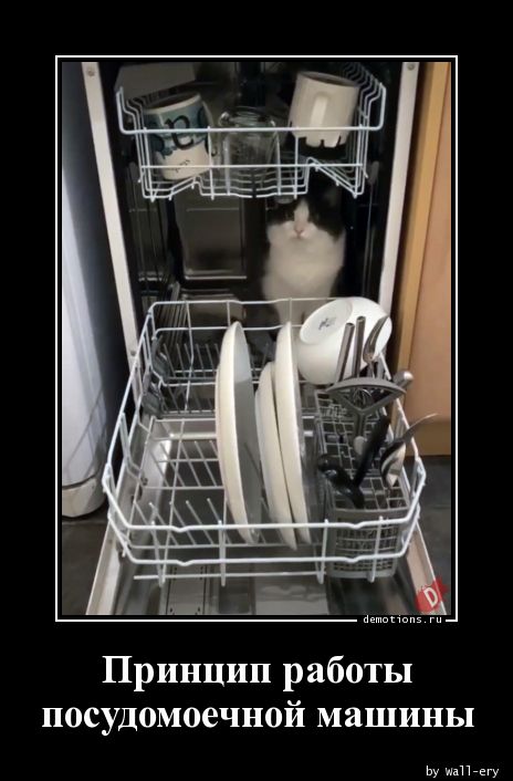 Принцип работы
посудомоечной машины