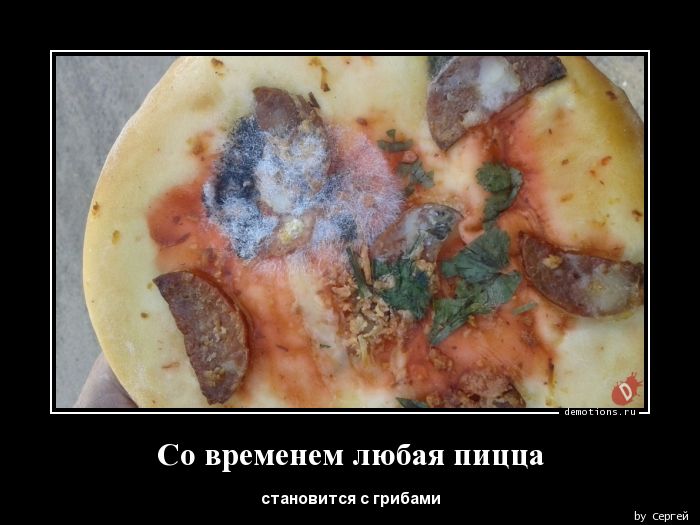 Со временем любая пицца