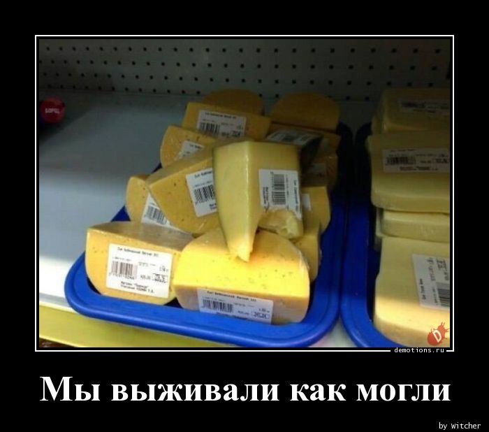 Тоже будет в цене если. Сыр демотиватор. Сыр прикол. Смешной сыр. Сыры приколы.