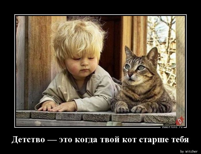 Детство — это когда твой кот старше тебя