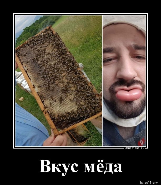 Вкус мёда
