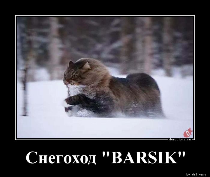 Снегоход \"BARSIK\"