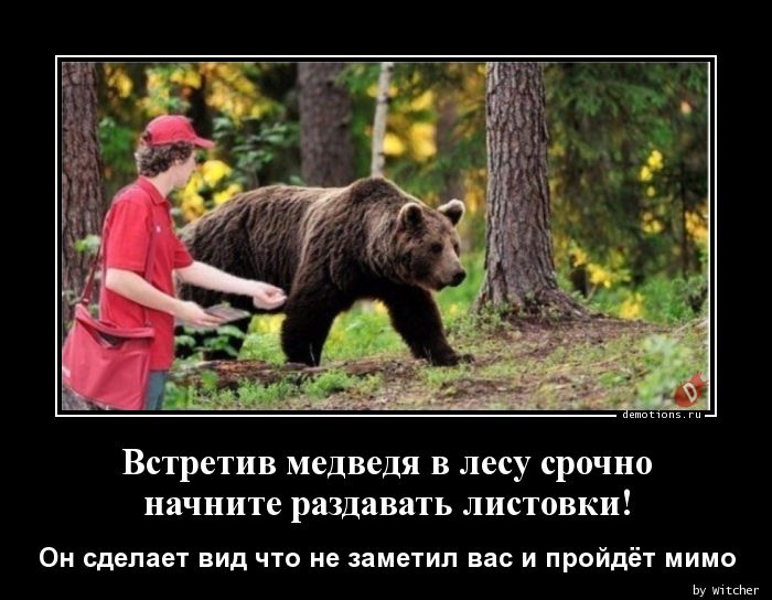 Встретив медведя в лесу срочно
начните раздавать листовки!
