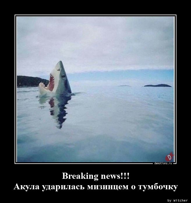 Breaking news!!!
Акула ударилась мизинцем о тумбочку