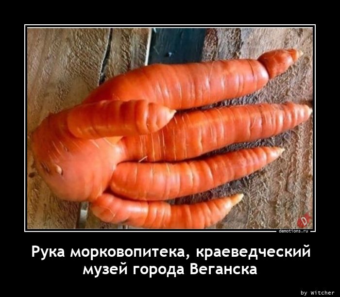 Рука морковопитека, краеведческий
музей города Веганска