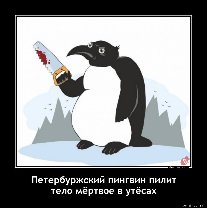 Петербуржский пингвин пилитnтело мёртвое в утёсах